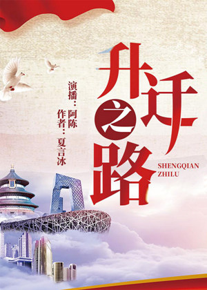 升迁之路有声小说,主角林远方